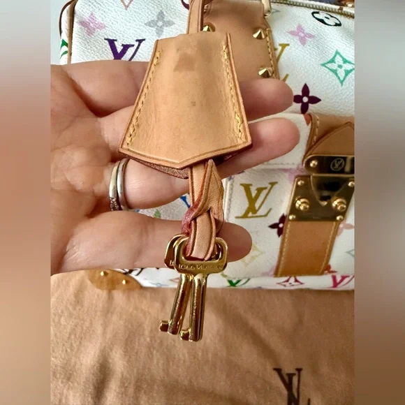 Louis Vuitton x Murakami Multicolor Monogram Speedy 30 Handbag - Picture 11 of 16